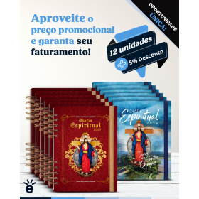 DIÁRIO ESPIRITUAL 2026 - 12 UNIDADES 