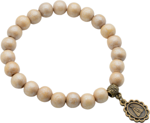 PULSEIRA  NOSSA SENHORA APARECIDA