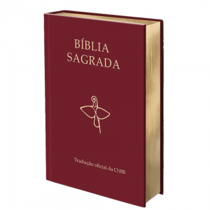 BÍBLIA SAGRADA - SEMILUXO - CAPA DURA - CNBB
