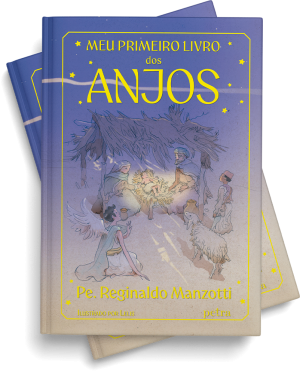 LIVRO INFANTIL MEU PRIMEIRO LIVRO DOS ANJOS PE REGINALDO MANZOTTI