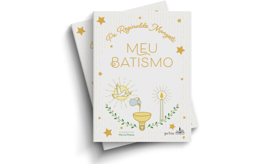 LIVRO MEU BATISMO PE REGINALDO MANZOTTI | ÁLBUM LEMBRANÇA DE BATIZADO