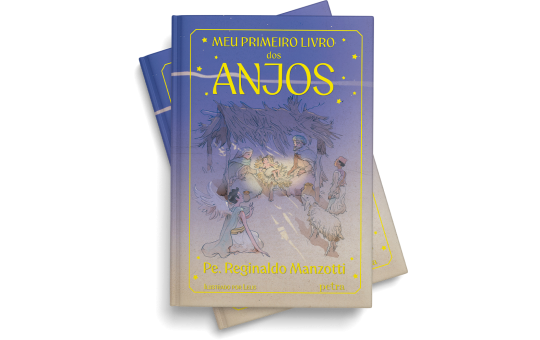 LIVRO INFANTIL MEU PRIMEIRO LIVRO DOS ANJOS PE REGINALDO MANZOTTI